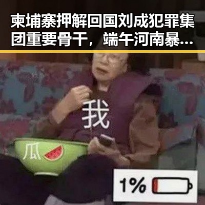 柬埔寨押解回国刘成犯罪集团重要骨干，端午河南暴雨引发关注